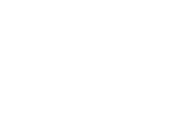 The Wingman Foundation